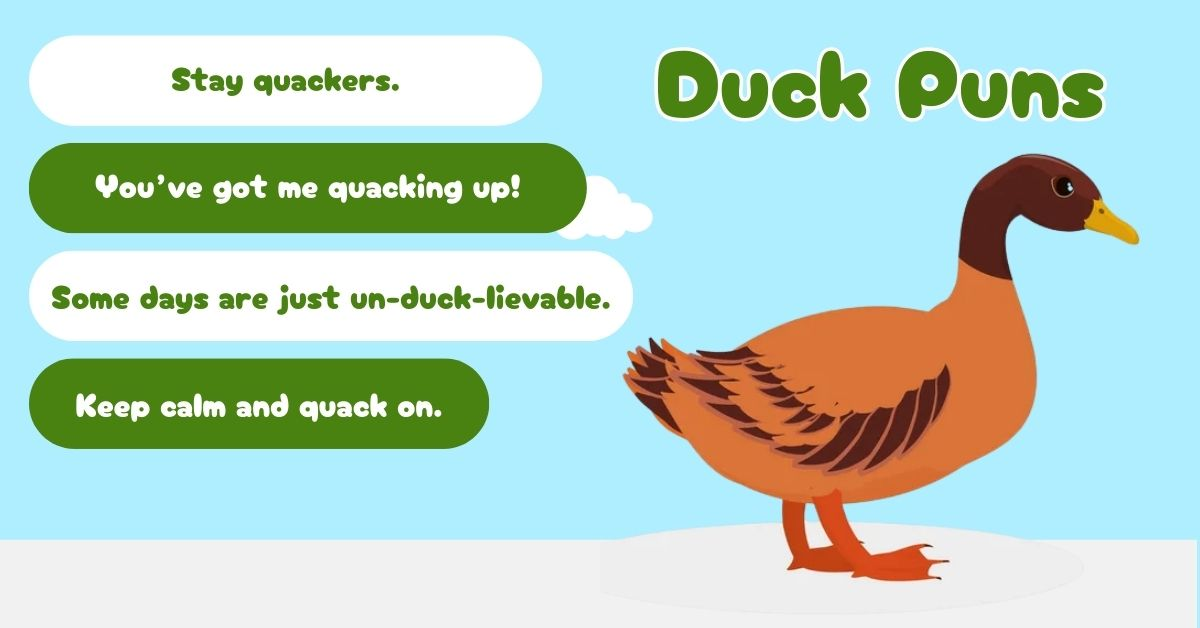 Duck Puns