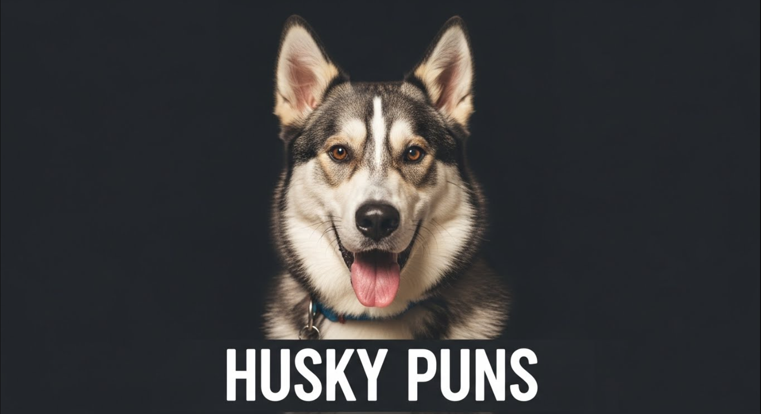 Cute Husky Puns for Kids: husky pun illustration
