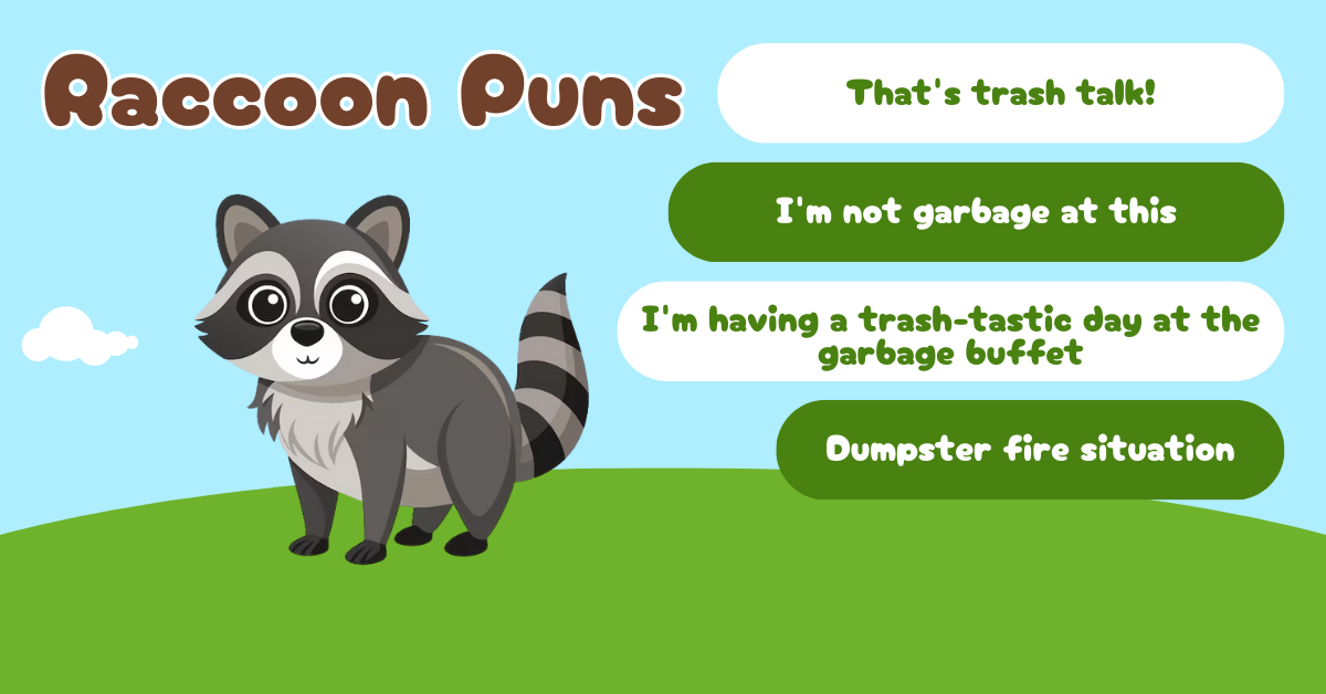 Raccoon Puns