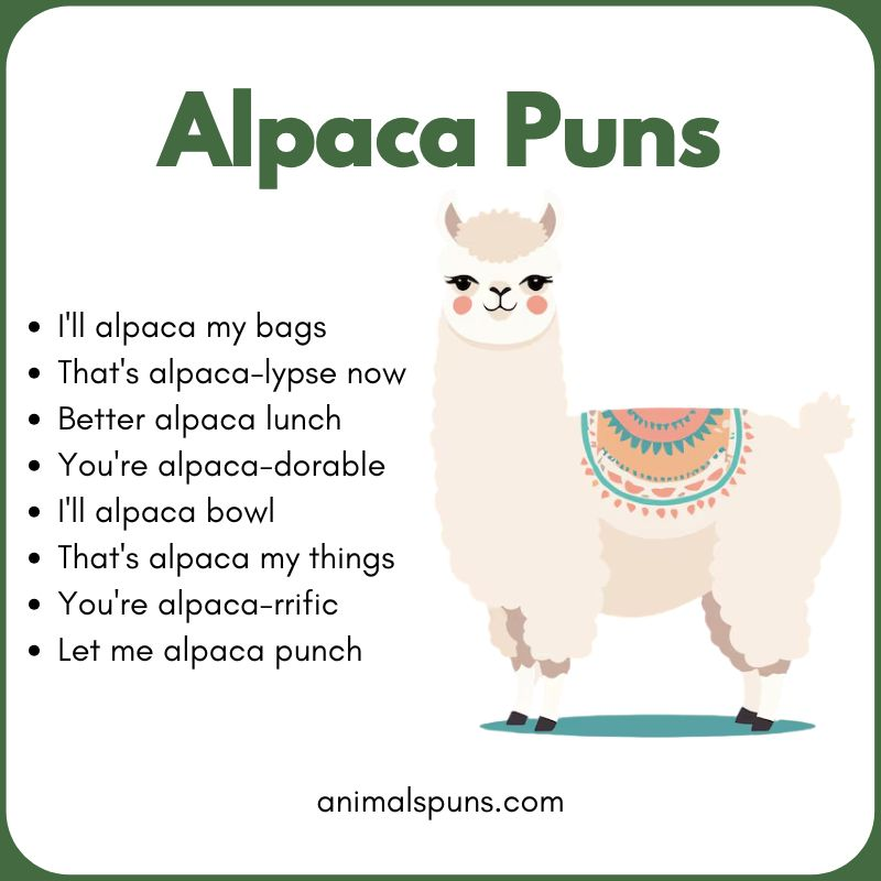 Alpaca Puns