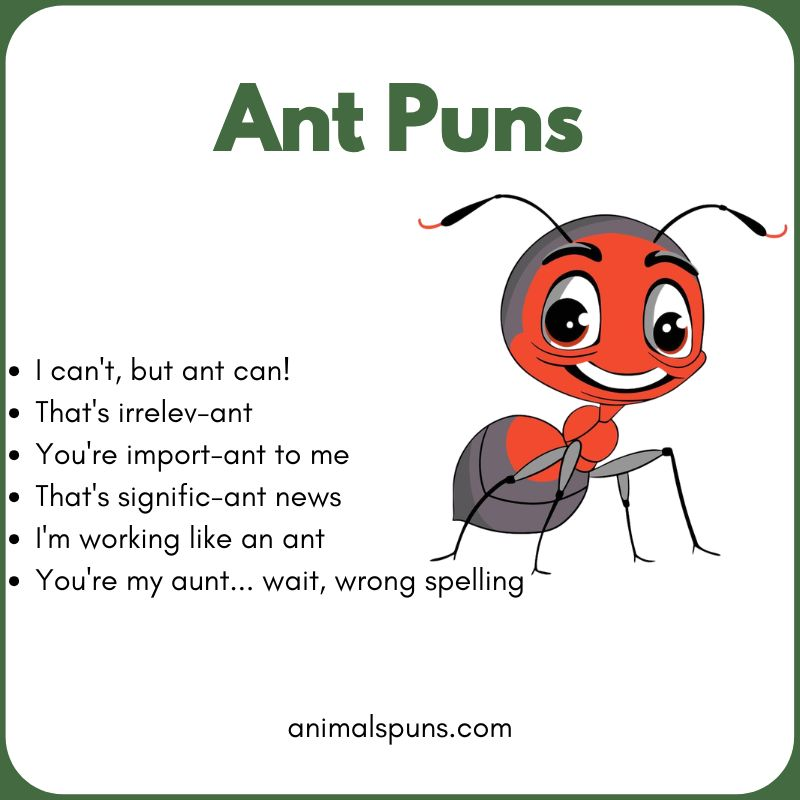 Ant Puns
