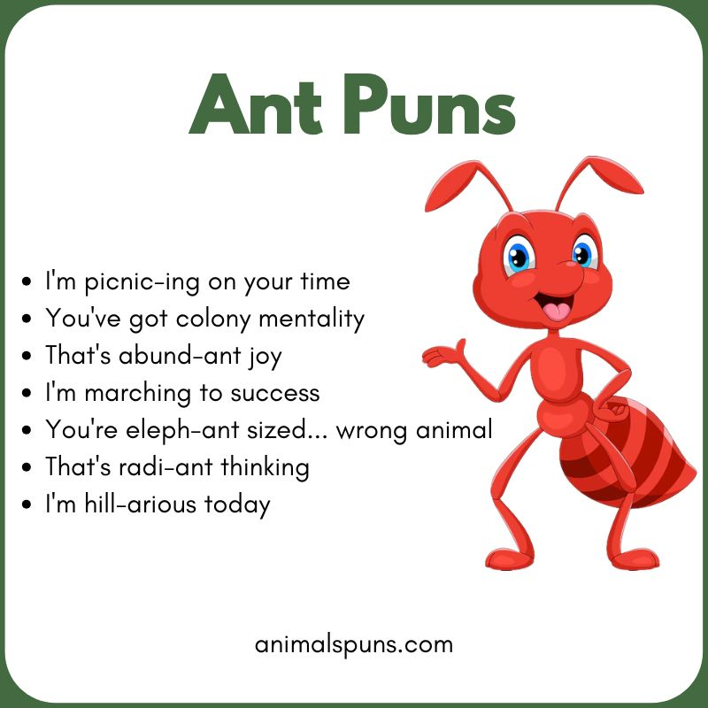 Ant Puns