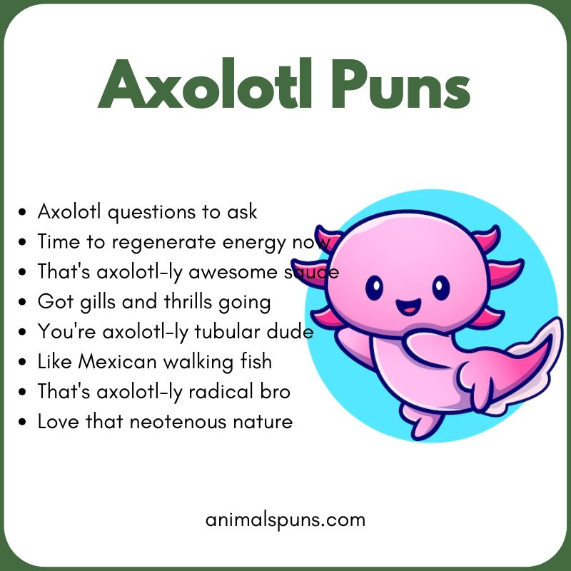 Axolotl Puns