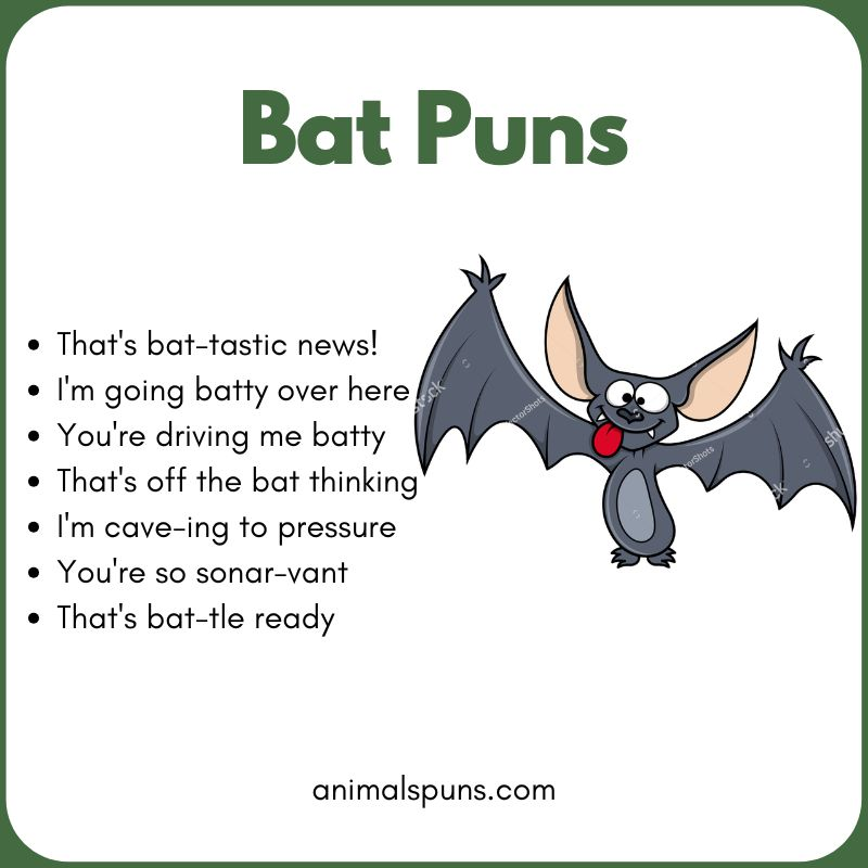 Bat Puns