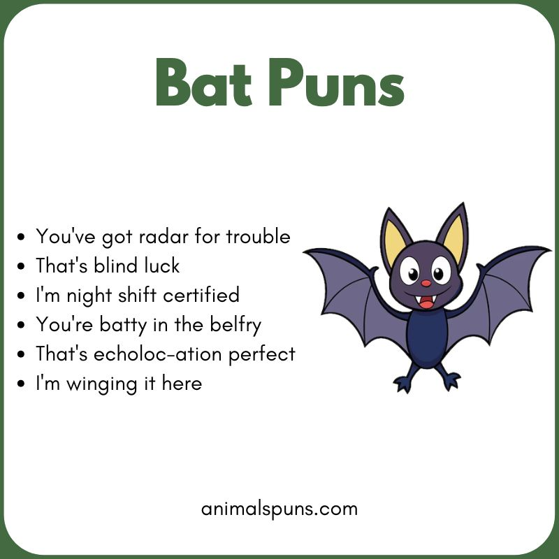 Bat Puns