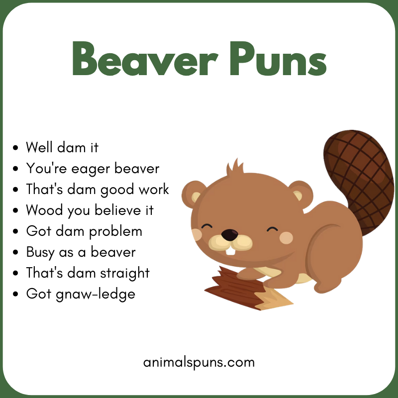 Beaver Puns