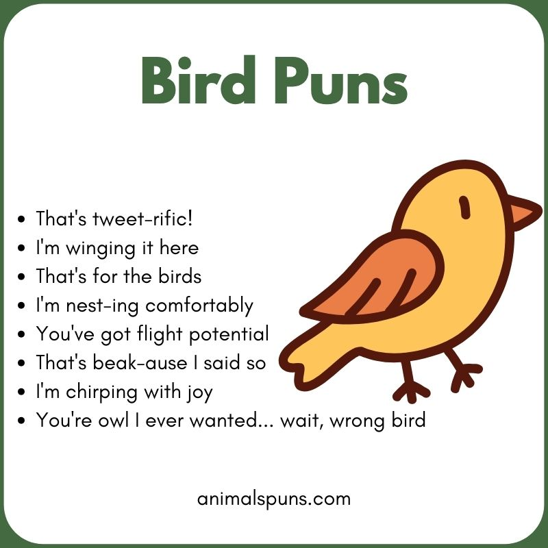 Bird Puns