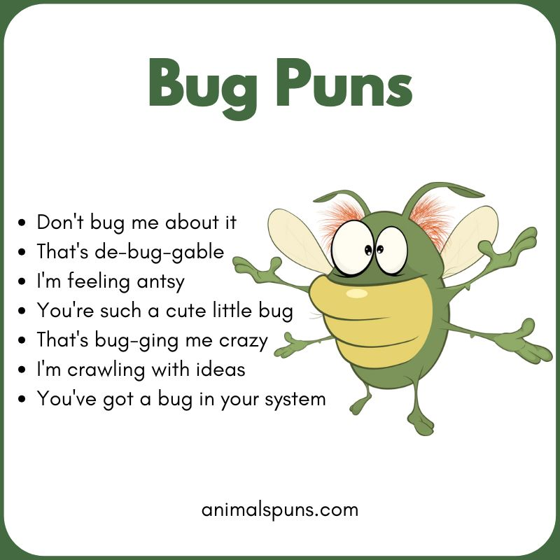 Bug Puns