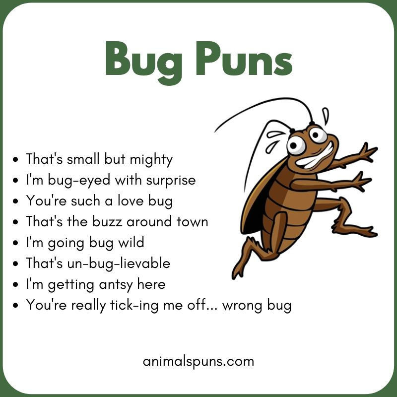 Bug Puns