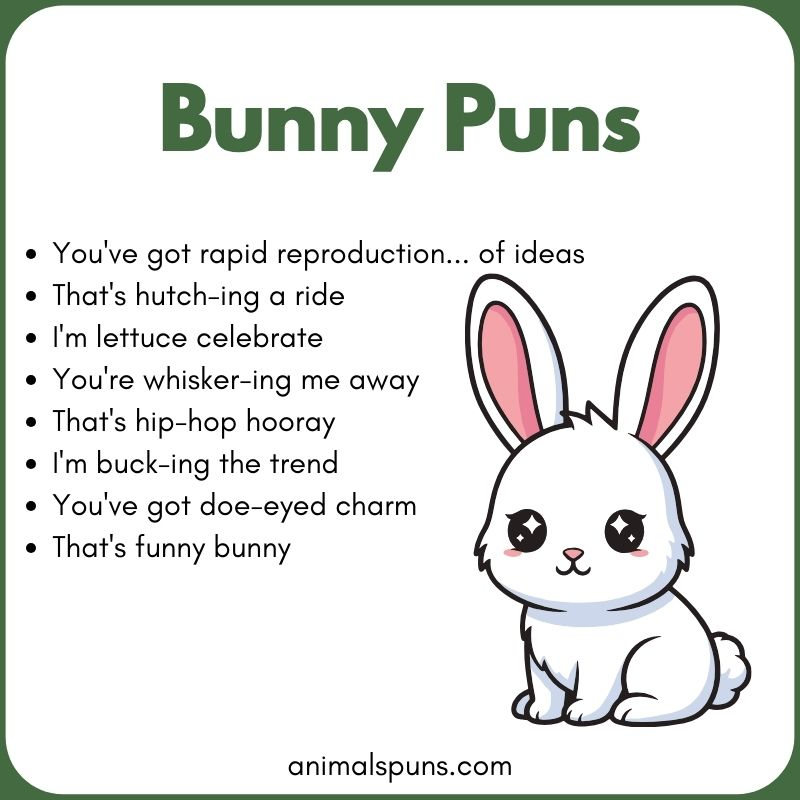Bunny Puns