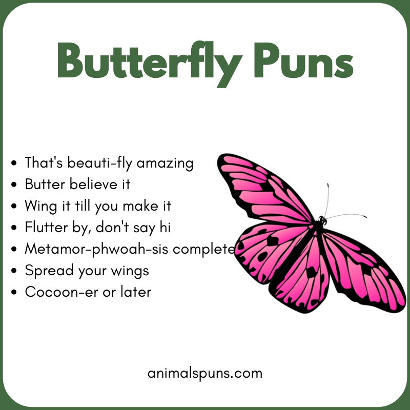 Butterfly Puns