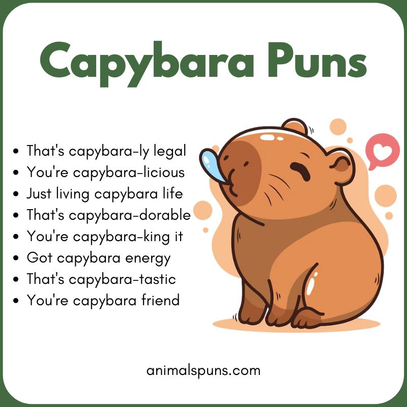 Capybara