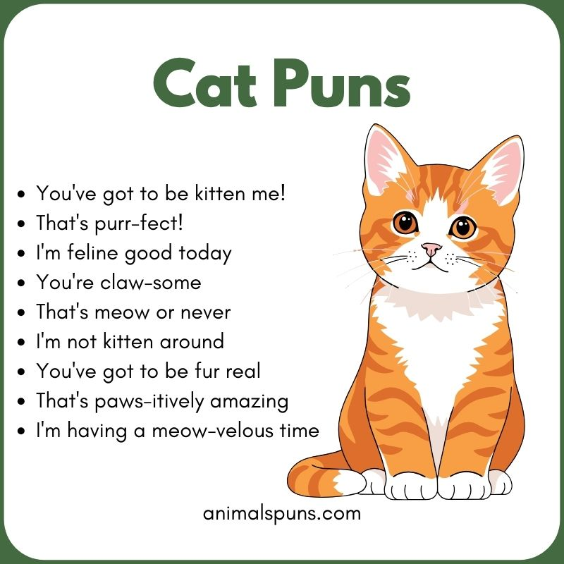 Cat Puns