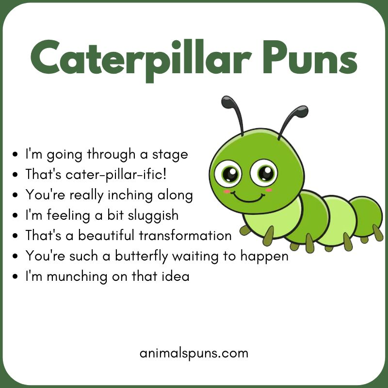 Caterpillar Puns