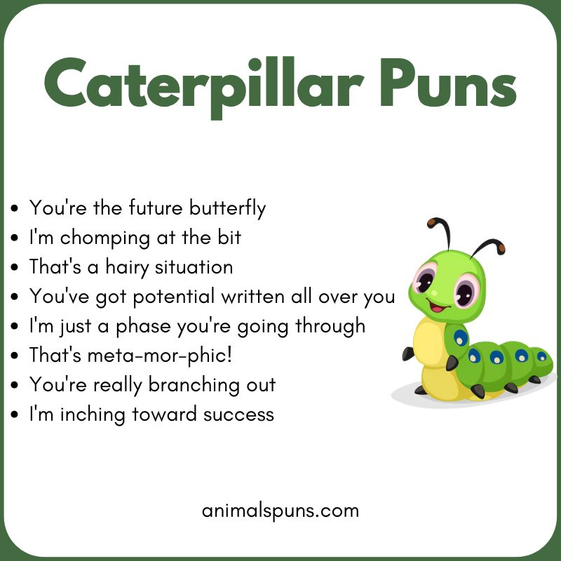 Caterpillar Puns