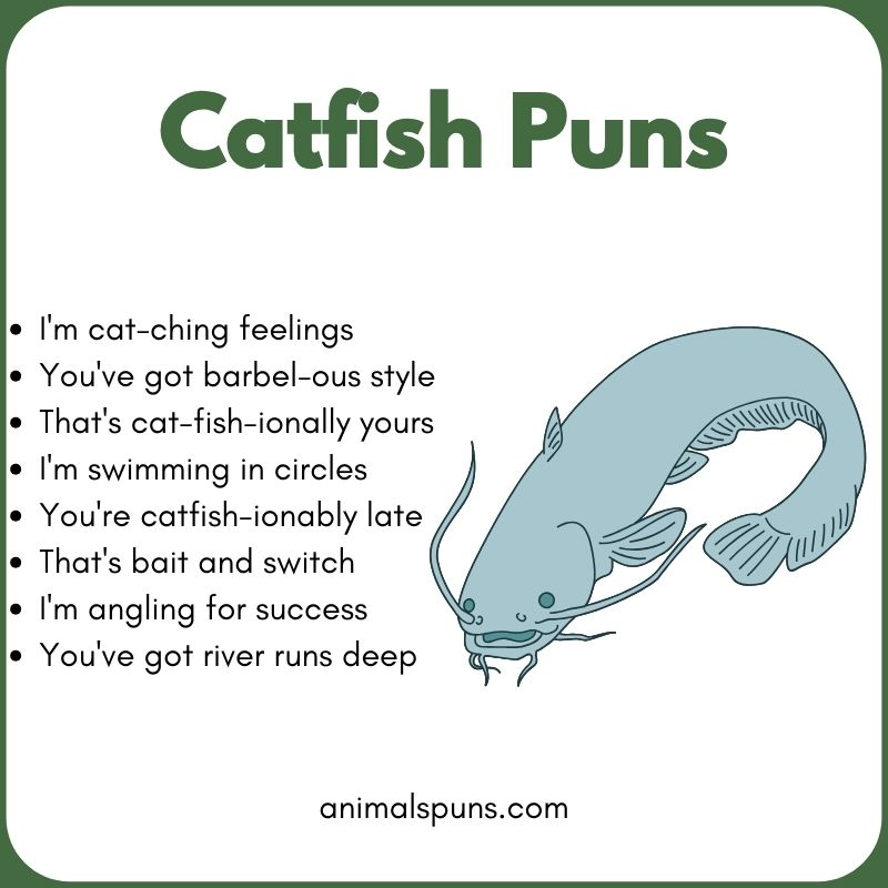 Catfish Puns