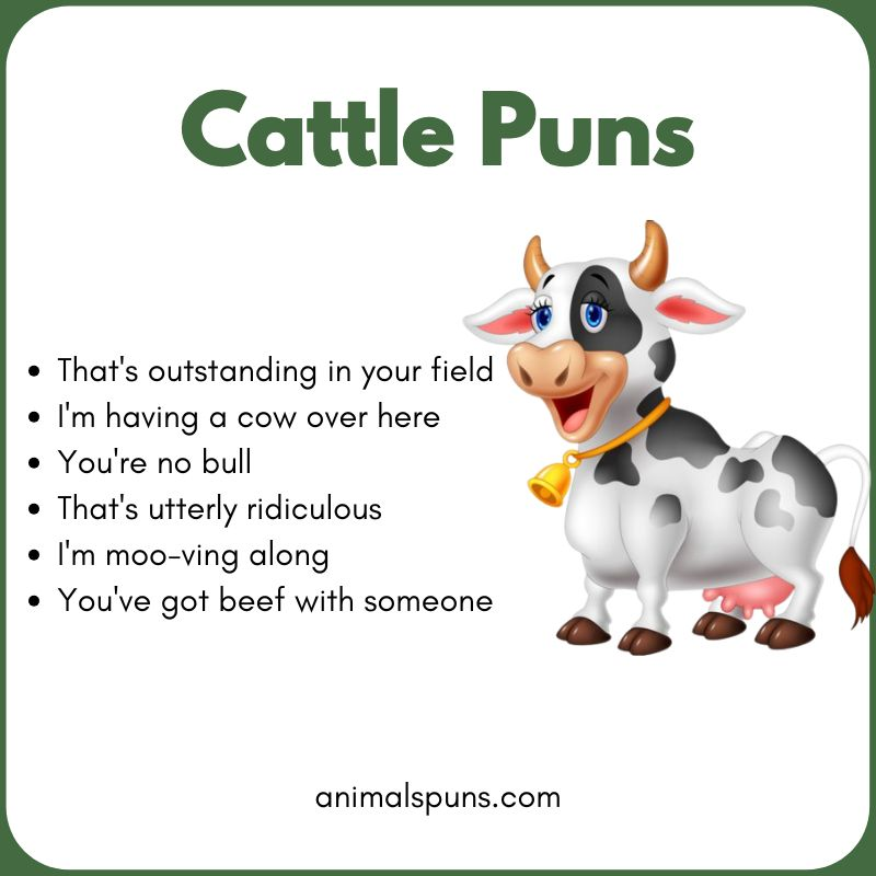 Cattle Puns