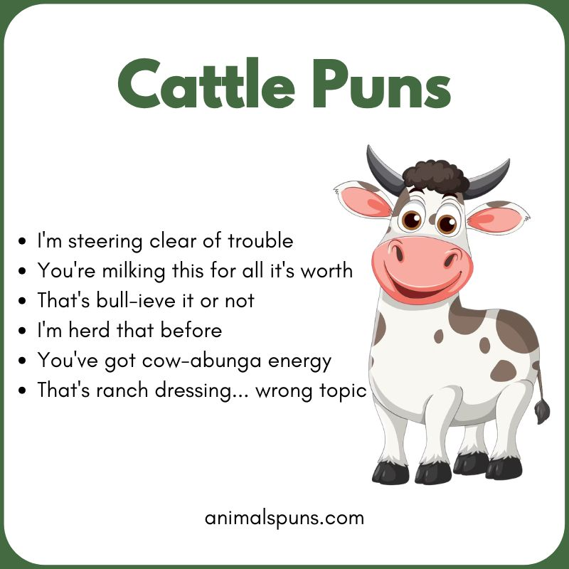 Cattle Puns