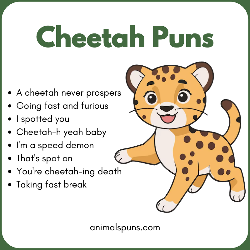 Cheetah Puns