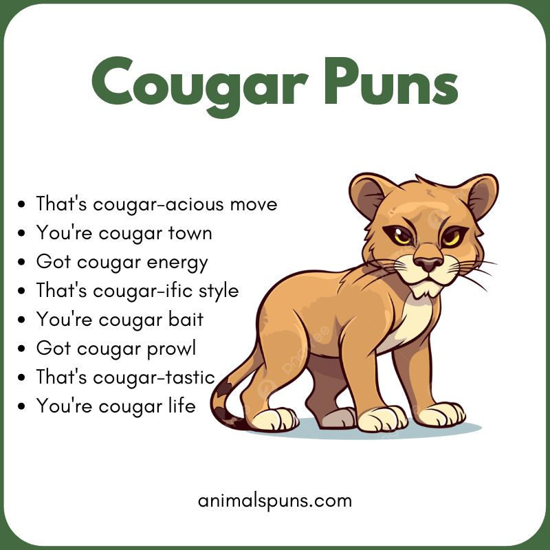 Cougar Puns
