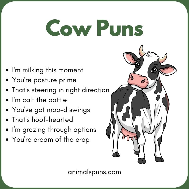 Cow Puns
