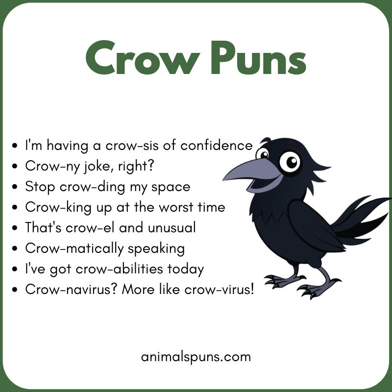Crow Puns
