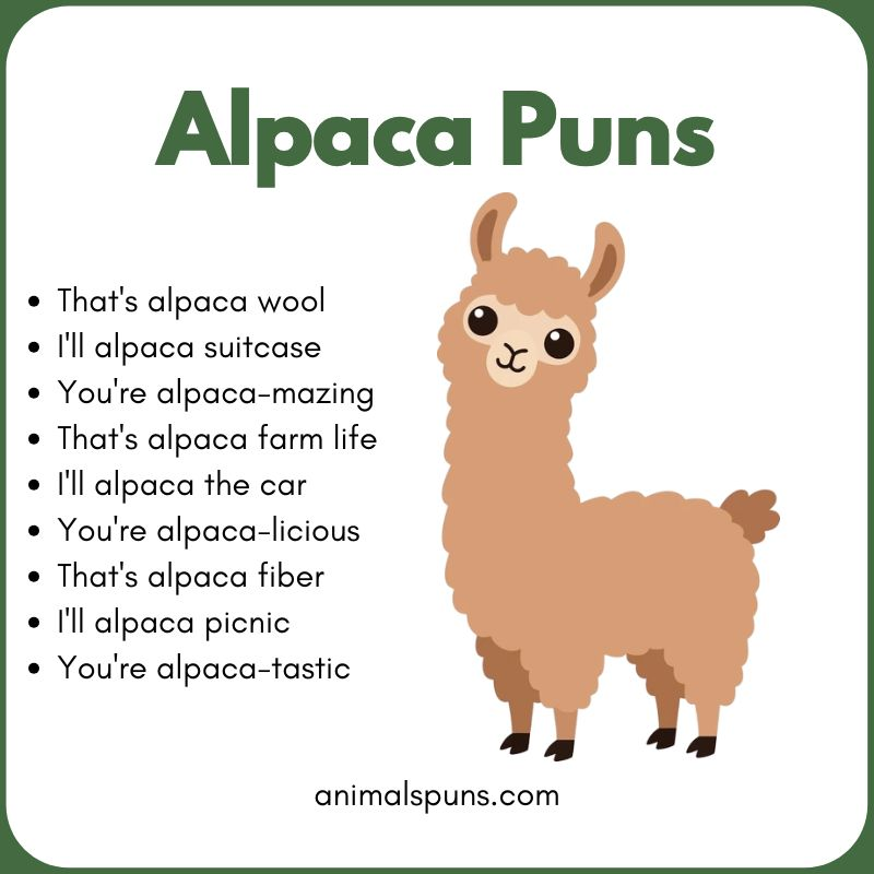 Alpaca Puns