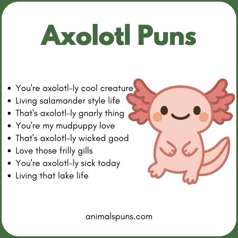 Axolotl Puns