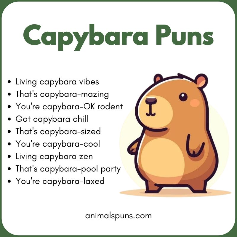 Capybara