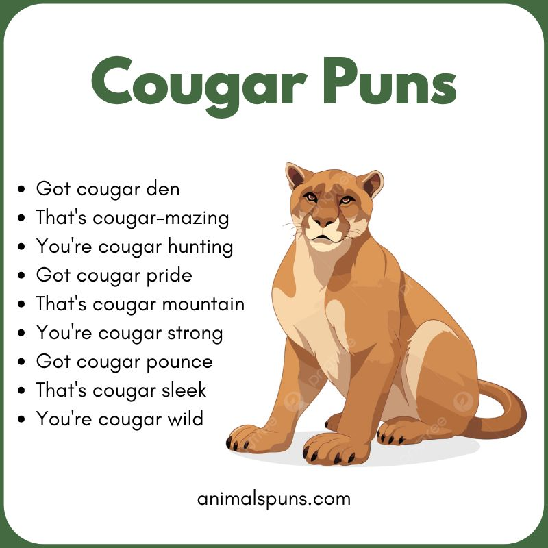 Cougar Puns