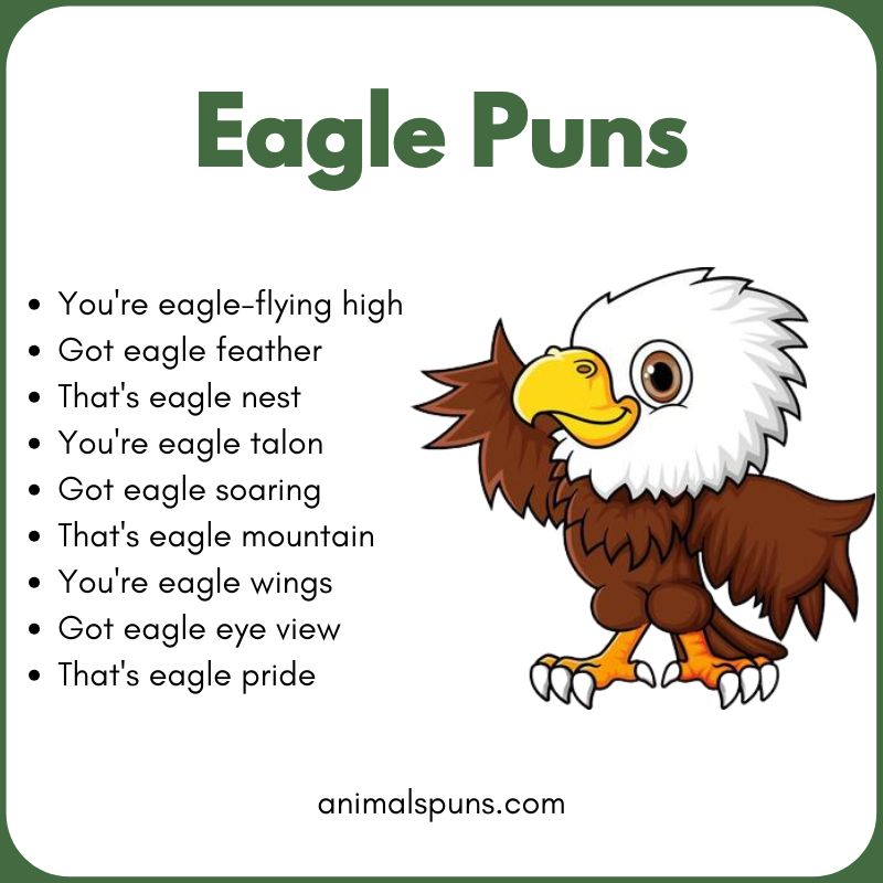 Eagle Puns