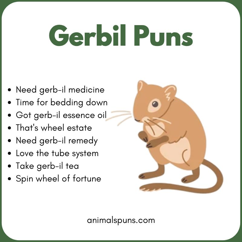 Gerbil Puns