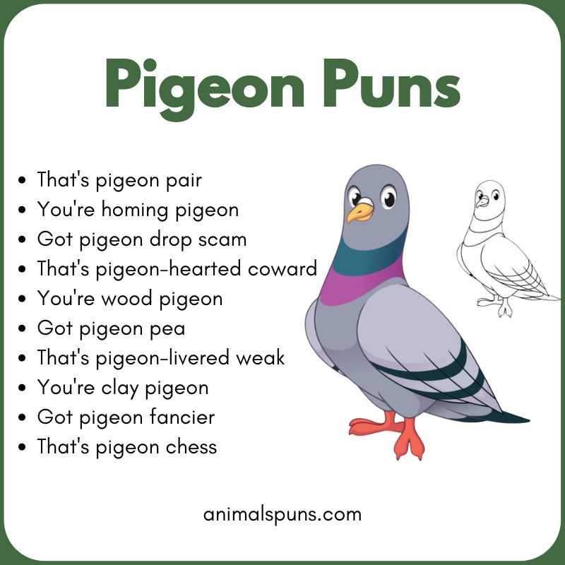 Pigeon Puns