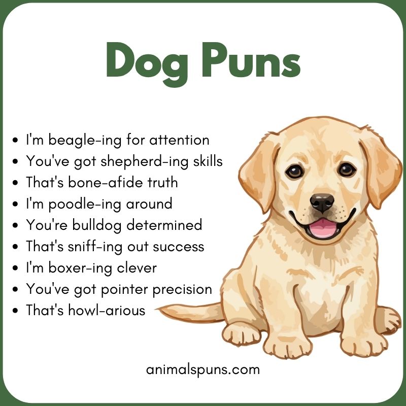 Dog Puns