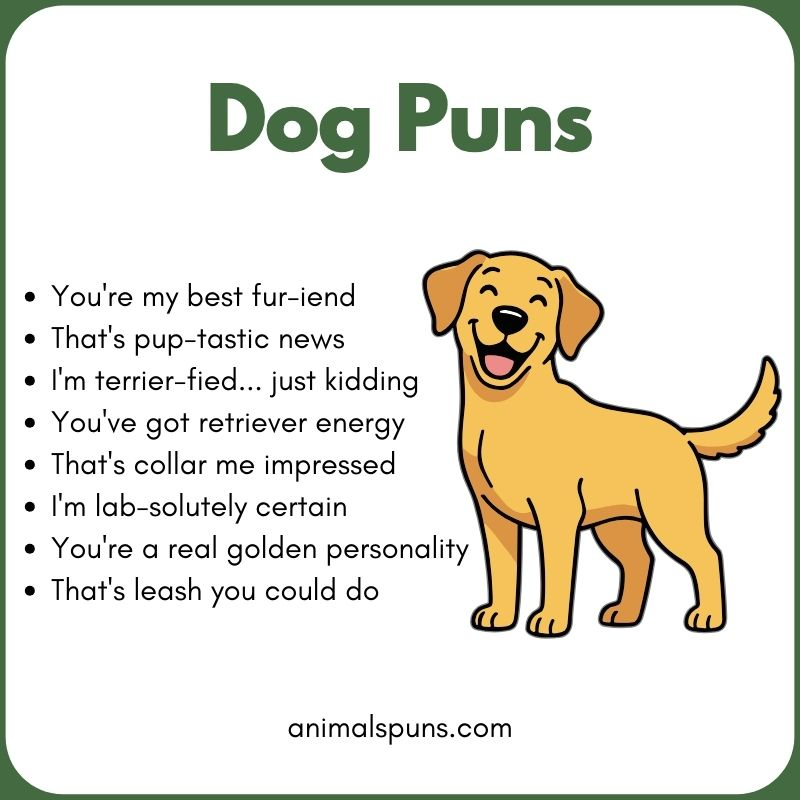 Dog Puns