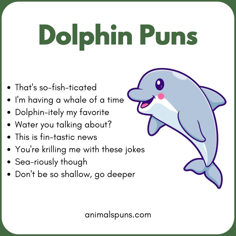 Dolphin Puns