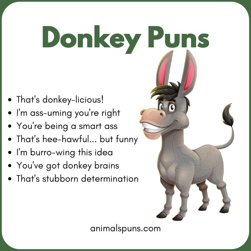 Donkey Puns