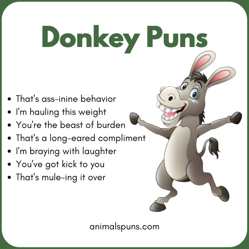 Donkey Puns