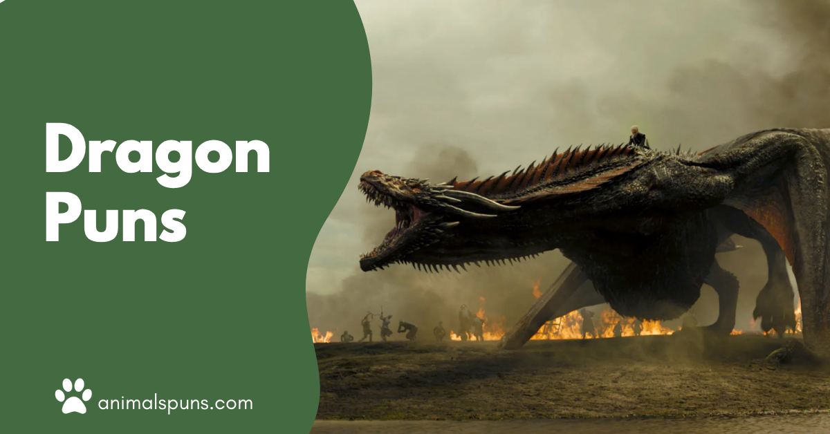 Dragon Puns