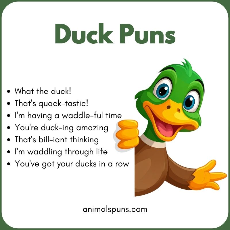 Duck Puns