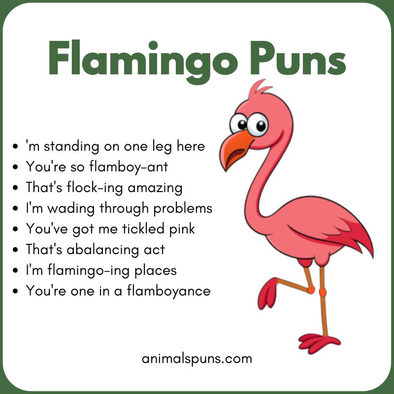 Flamingo Puns