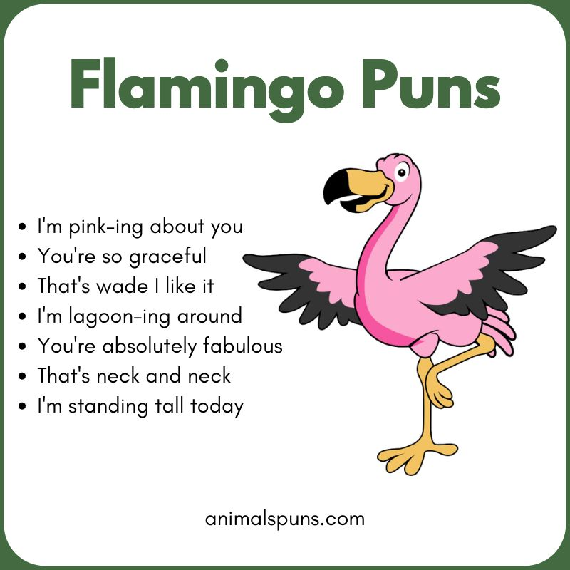 Flamingo Puns