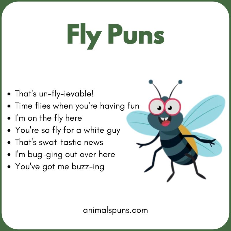 Fly Puns
