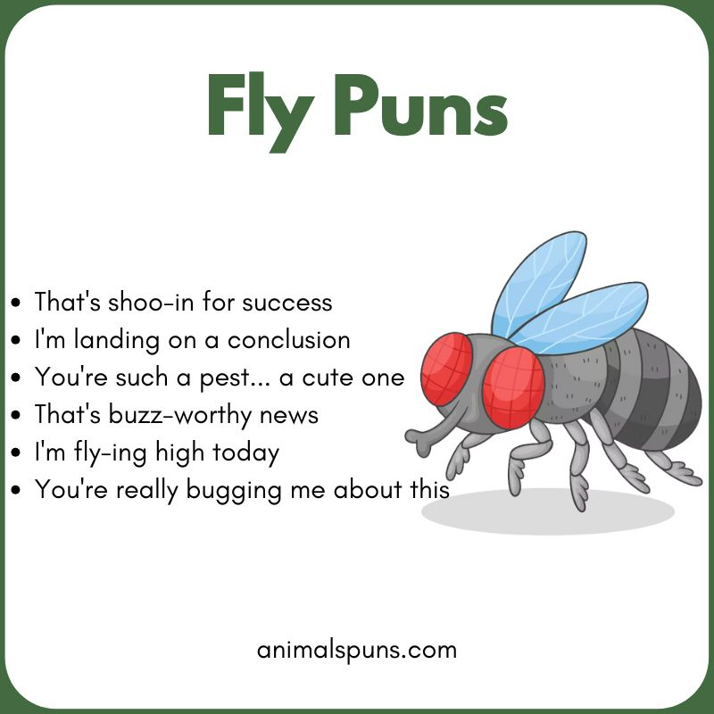 Fly Puns