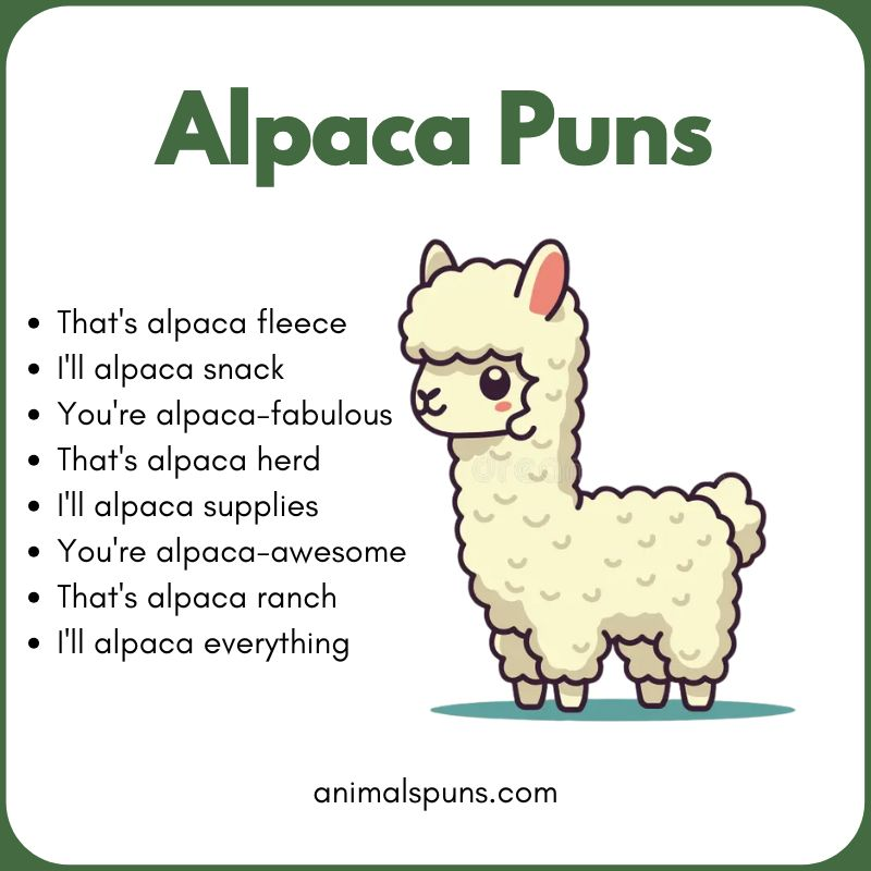 Alpaca Puns