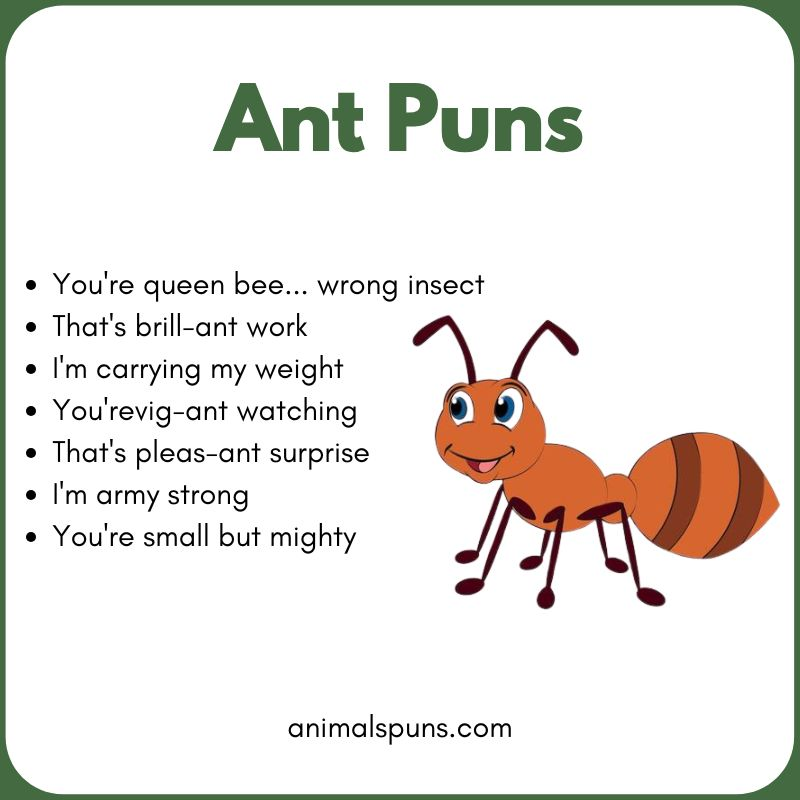 Ant Puns