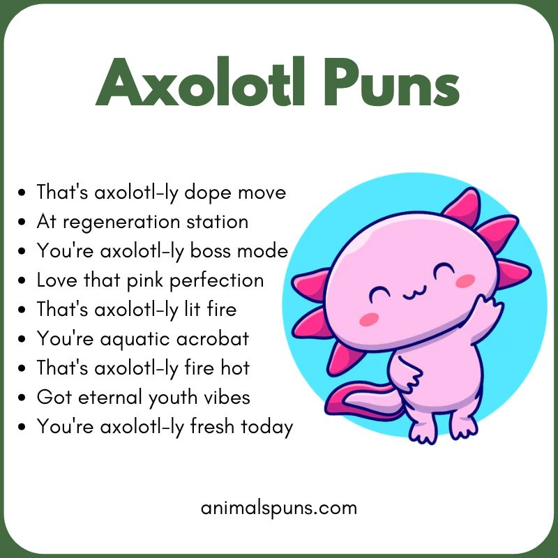 Axolotl Puns