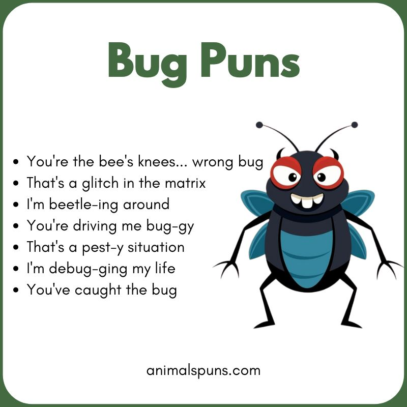 Bug Puns