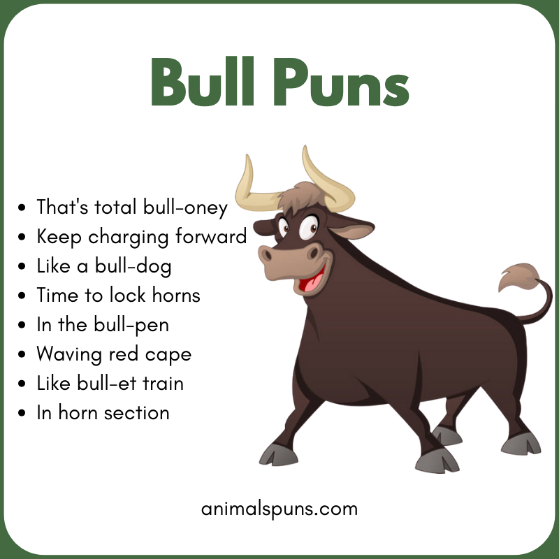 Bull Puns