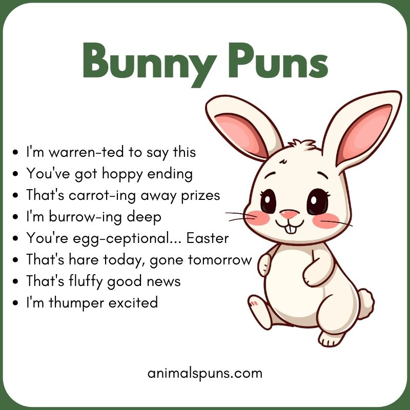 Bunny Puns
